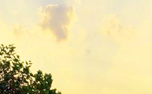 ����Ψ���簲���Z�R��100��