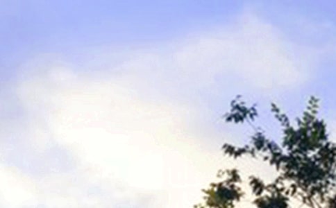 ���]�����簲���Z��ȫ�����x50�䣩