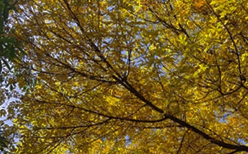 ����ů���簲���Z165��