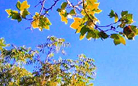 熱門正能量早安寄語(yǔ)155句