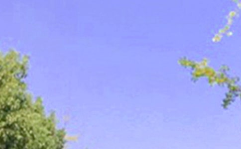 ����Ȧ�簲���Z��ȫ��ͨ��145�䣩