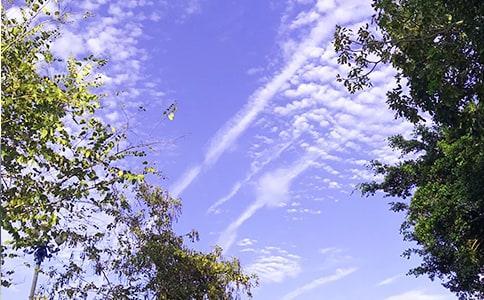 ���\��ů���簲�����Z䛣�ͨ��270�䣩