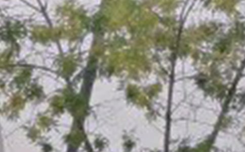 ��(j��ng)�䂀(g��)���簲���������x125�䣩