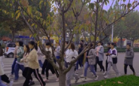 ������t���zӑ����ͨ��10ƪ��