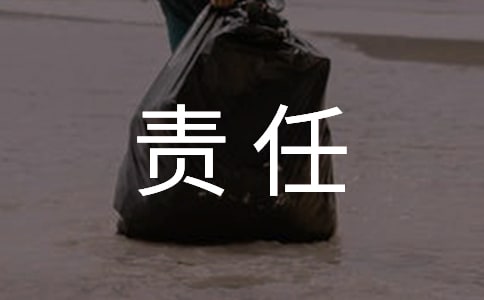 單位未繳納社會保險應(yīng)當(dāng)承擔(dān)什么責(zé)任