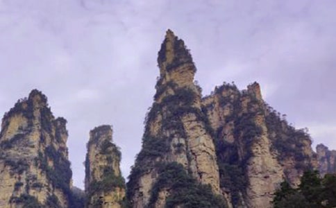 ���ҽ猧(d��o)���~����15ƪ