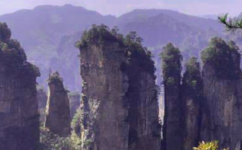 ���ҽ猧(d��o)���~�R����3ƪ��