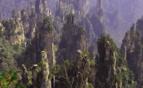 ���ҽ����Tɽ��(d��o)���~����