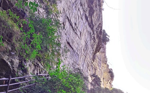 ���ҽ猧(d��o)���~(���\15ƪ)