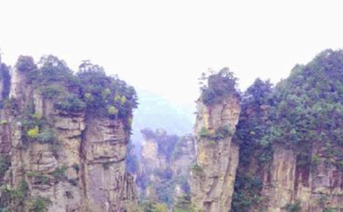 ���Ϗ��ҽ�Č�(d��o)���~