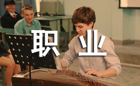 關于職業(yè)價值觀測評報告