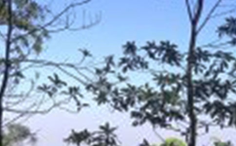 ����Ψ����(w��n)���Z(y��)