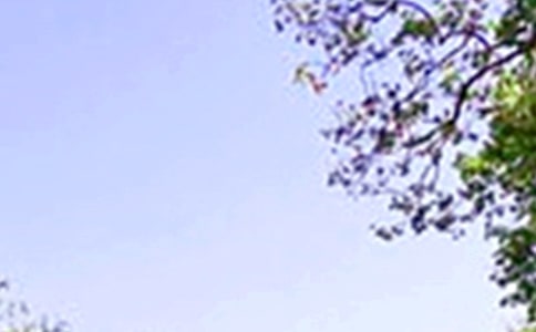 ���熖���Z(y��)���P(gu��n)��Ԓ�Z(y��)�ϼ�