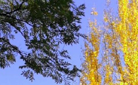 �B(y��ng)��������˯���T��5���̎