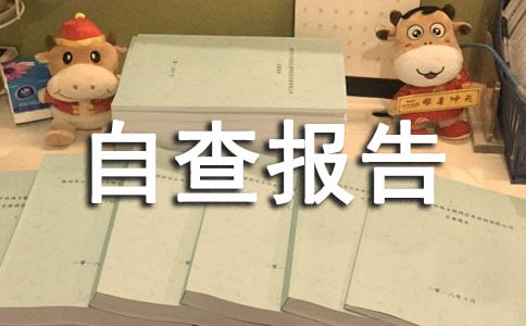 生產(chǎn)許可證獲證企業(yè)年度自查報告