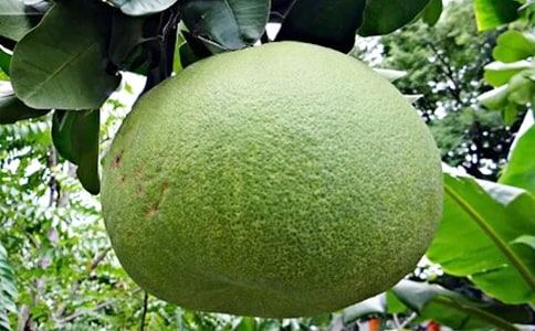 �������ϻ���