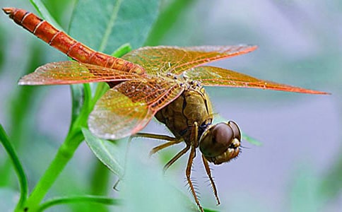 �����c(di��n)ˮ���ģ����A��