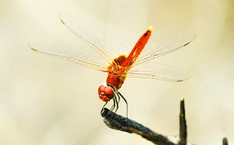 �����cˮ����3ƪ