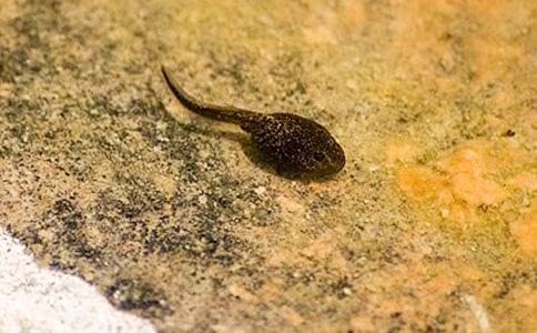 ����B�m(x��)�^����ӛ