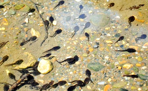 ���P(gu��n)����Ъ���Z(y��)���x