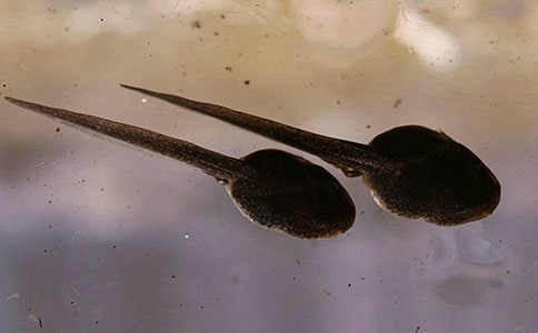 С����ҋ���ppt