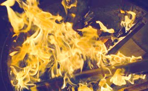 2017���������������