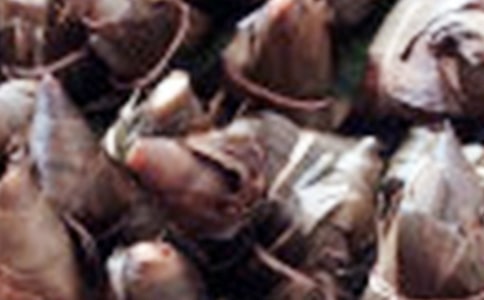 南方粽子的做法