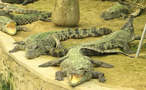 �����d�^����{�~���