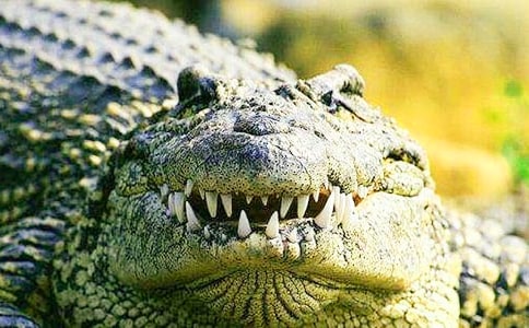 ���P(gu��n)�{�~����ЦԒ