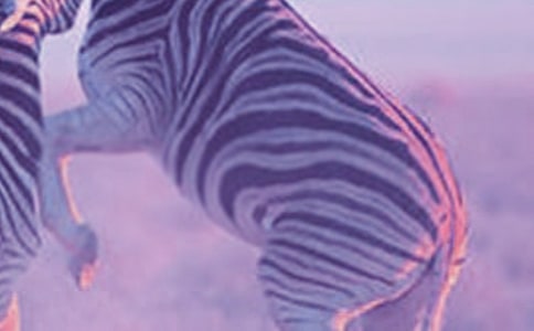 ���R��С�W(xu��)����