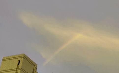 �P�ڲʺ��ͯԒ���ĺϼ���ƪ