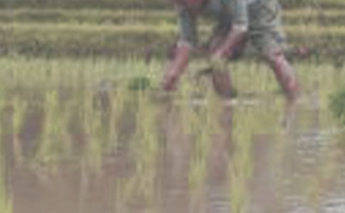 �W(xu��)��������800��