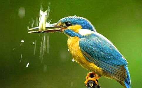 ���B�Ƴ�ͯԒ����