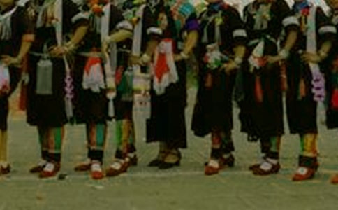 傣族作文400字(精選25篇)