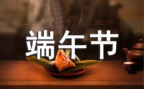 【精品】端午節(jié)的作文900字集錦十篇