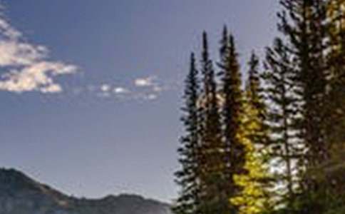 �P���L��Ԓ�}����300�־�ƪ