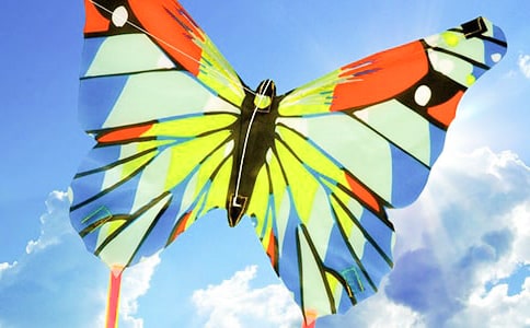 和爸爸媽媽一起放風(fēng)箏作文(精選15篇)