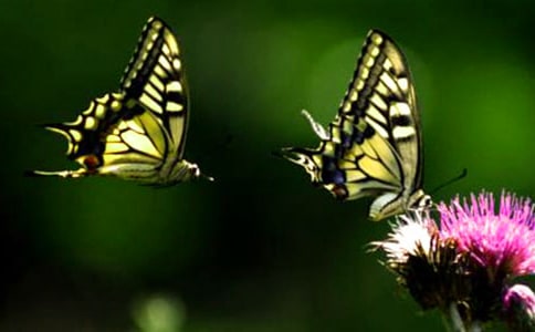 С�W(xu��)���ĺ�������