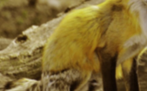 ����؂�ͺ��ӡ�-�m(x��)������