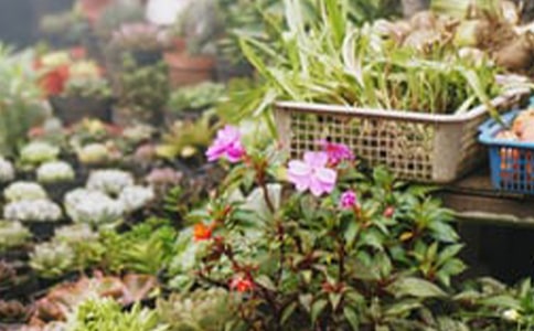 花店作文400字3篇