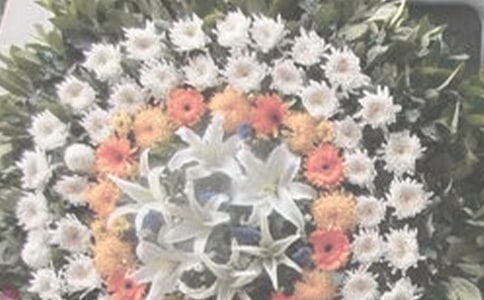 �����ļ�������