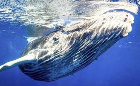 �L�~(y��)��������������