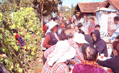 �r(n��ng)����¾�ϯ���x�~��ͨ��12ƪ��