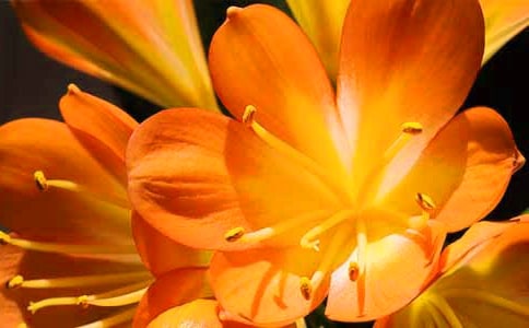 �^������m���ģ�ͨ��19ƪ��