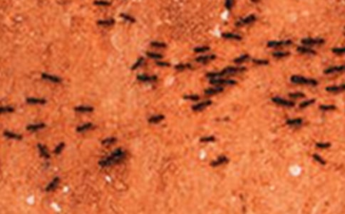 �^��Λρ���ġ��]��