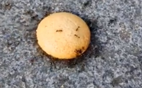 �^��Λρ����