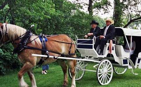 神奇的小馬車(chē)童話故事