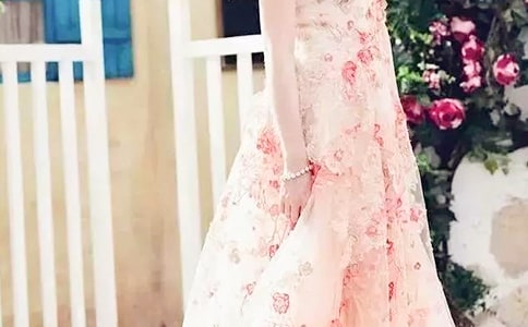 花裙子初一作文