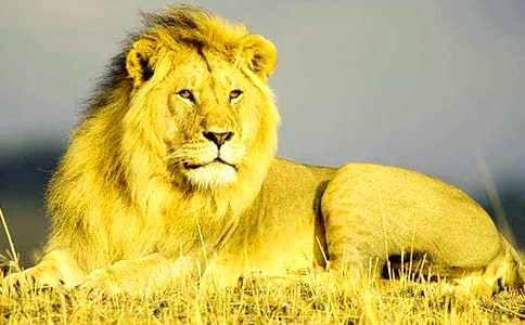 ���؂䡿�{��ͯԒ������ƪ