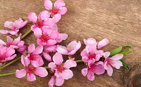 [���]]�����һ�ˮ����